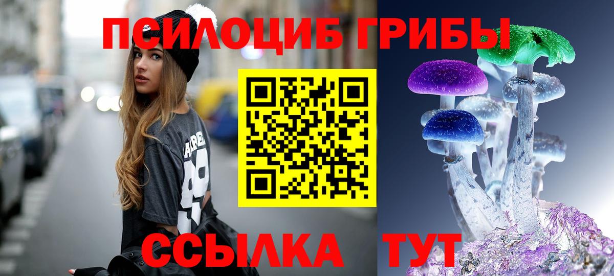 Псилоцибиновые грибы мицелий  Вход с VPN  Галлюциногенные грибы мицелий  Ялуторовск 